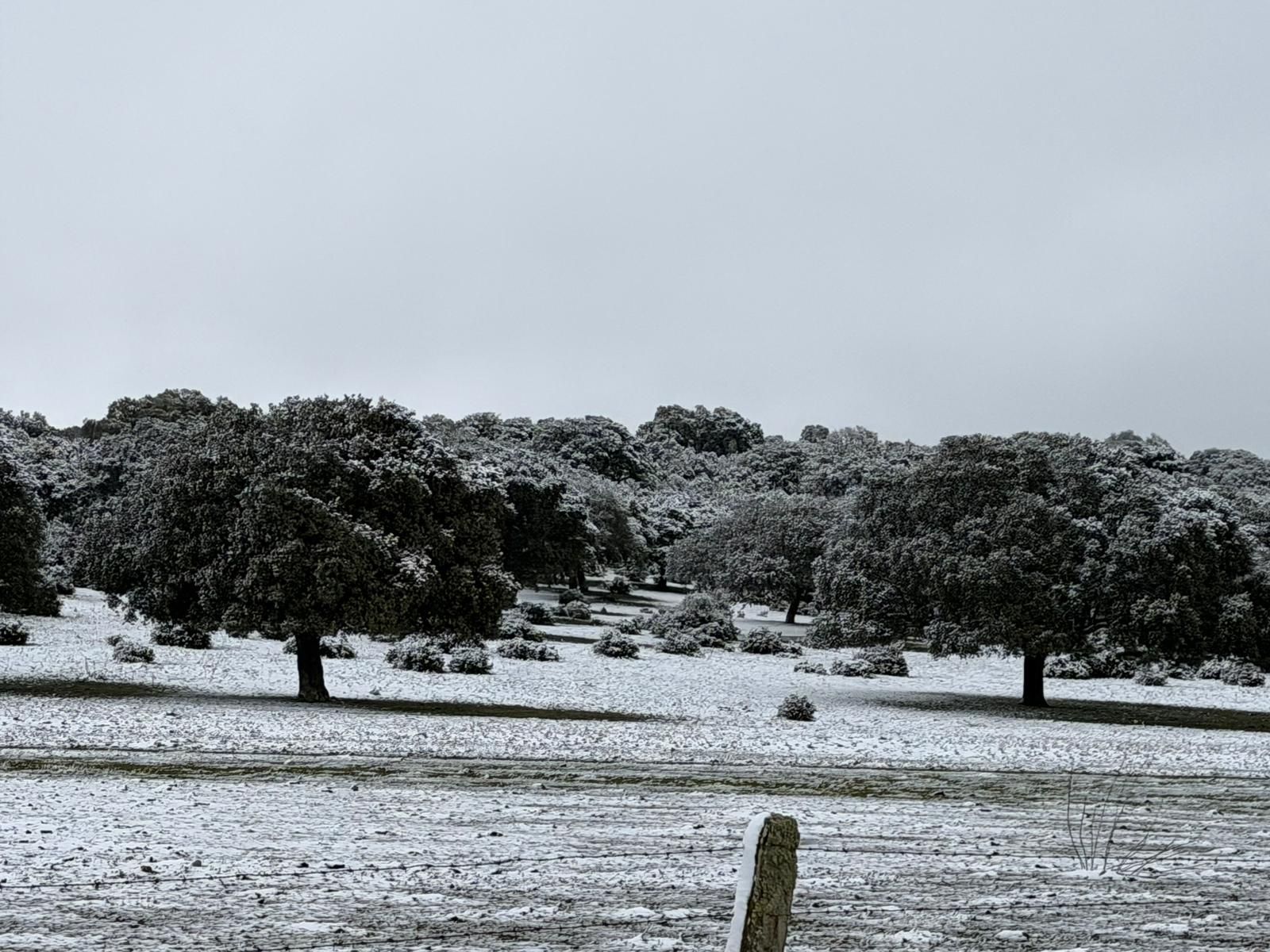Nieve en Cuatro Calzadas, Pereña y Guijuelo este sábado
