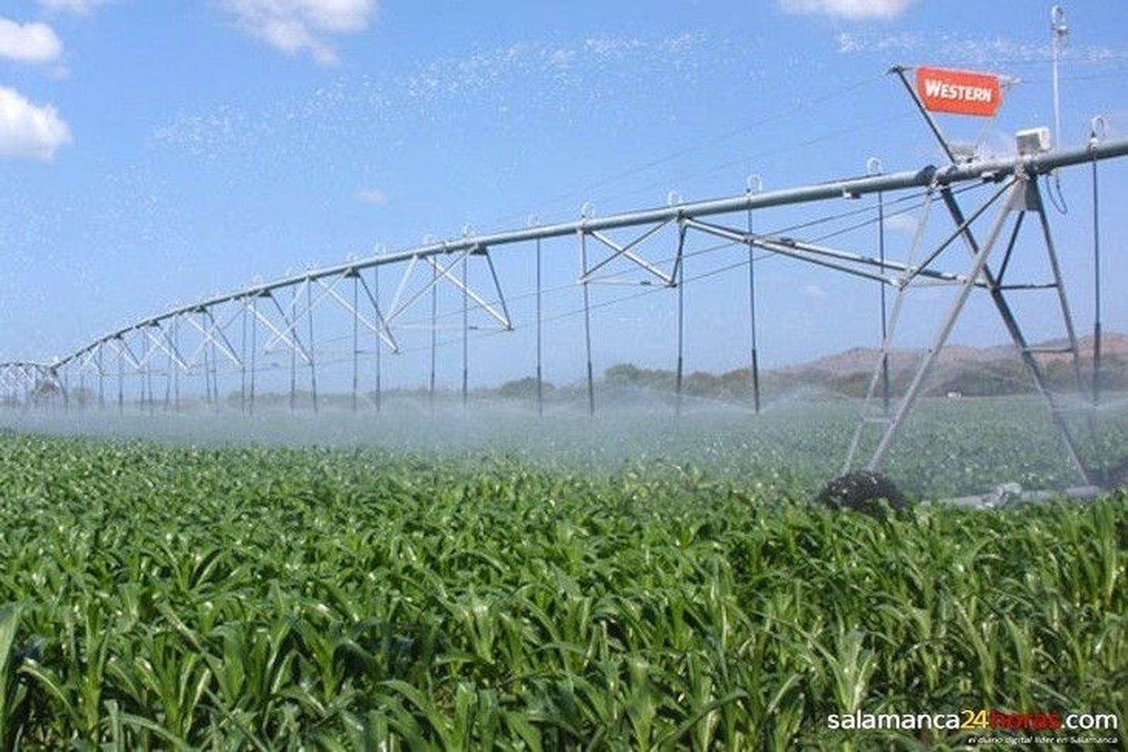 Una inversión de 20 millones de euros convertirá en regadío 2.700 hectáreas de las vegas bajas del río Valdavia en Palencia