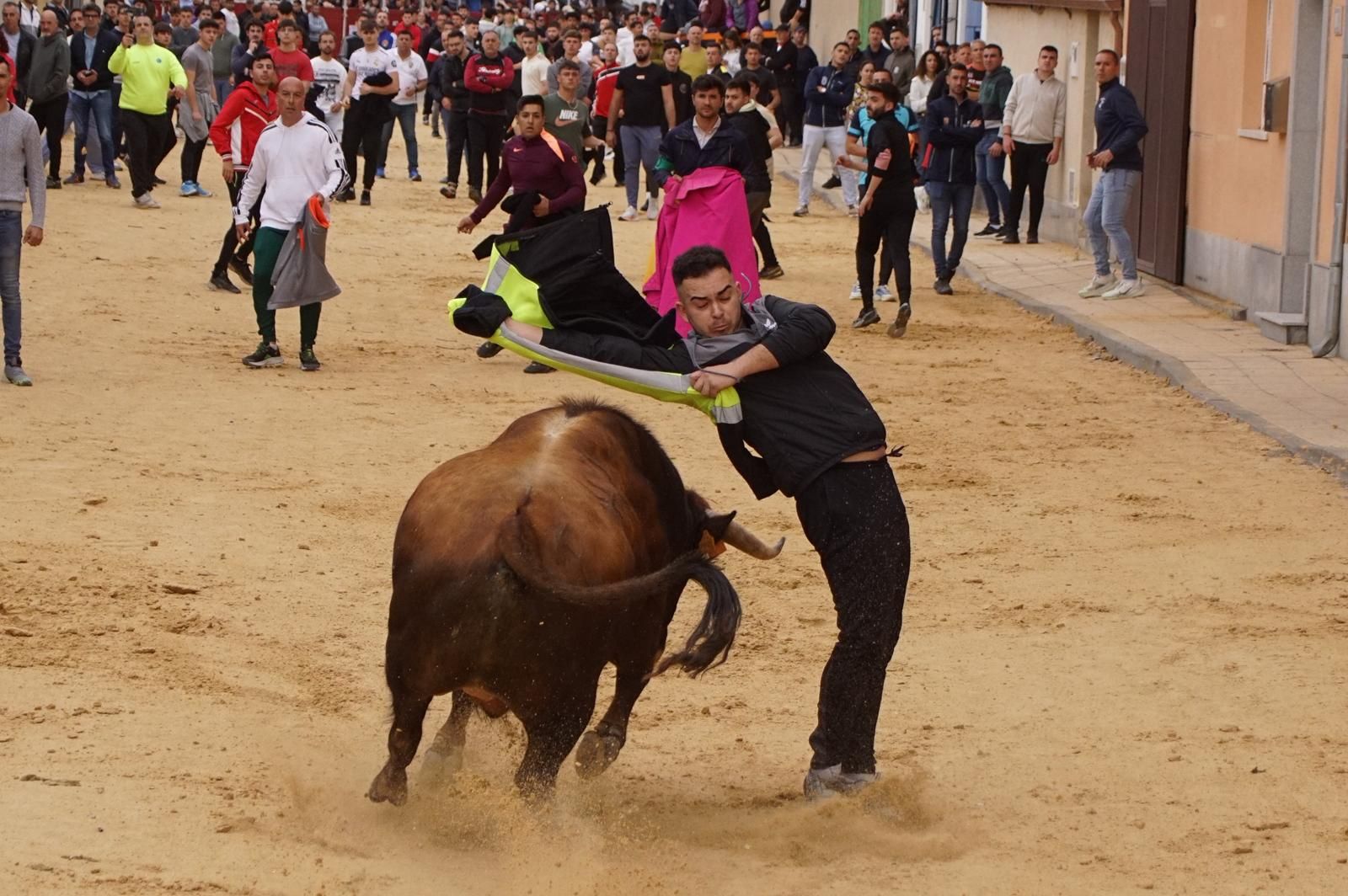 Villoria, toro del Voto