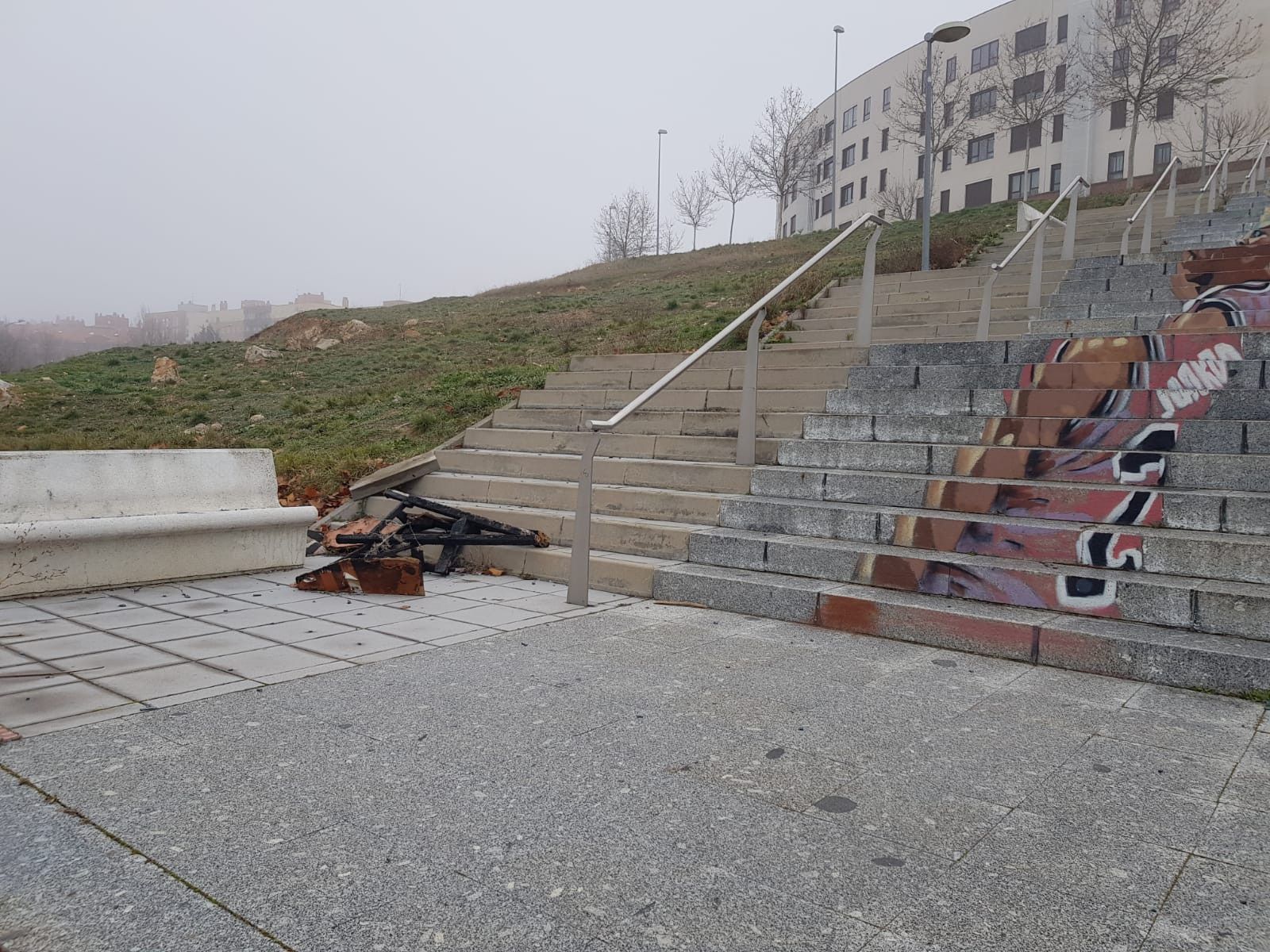 Imagenes del Zurguu00e9n (1)