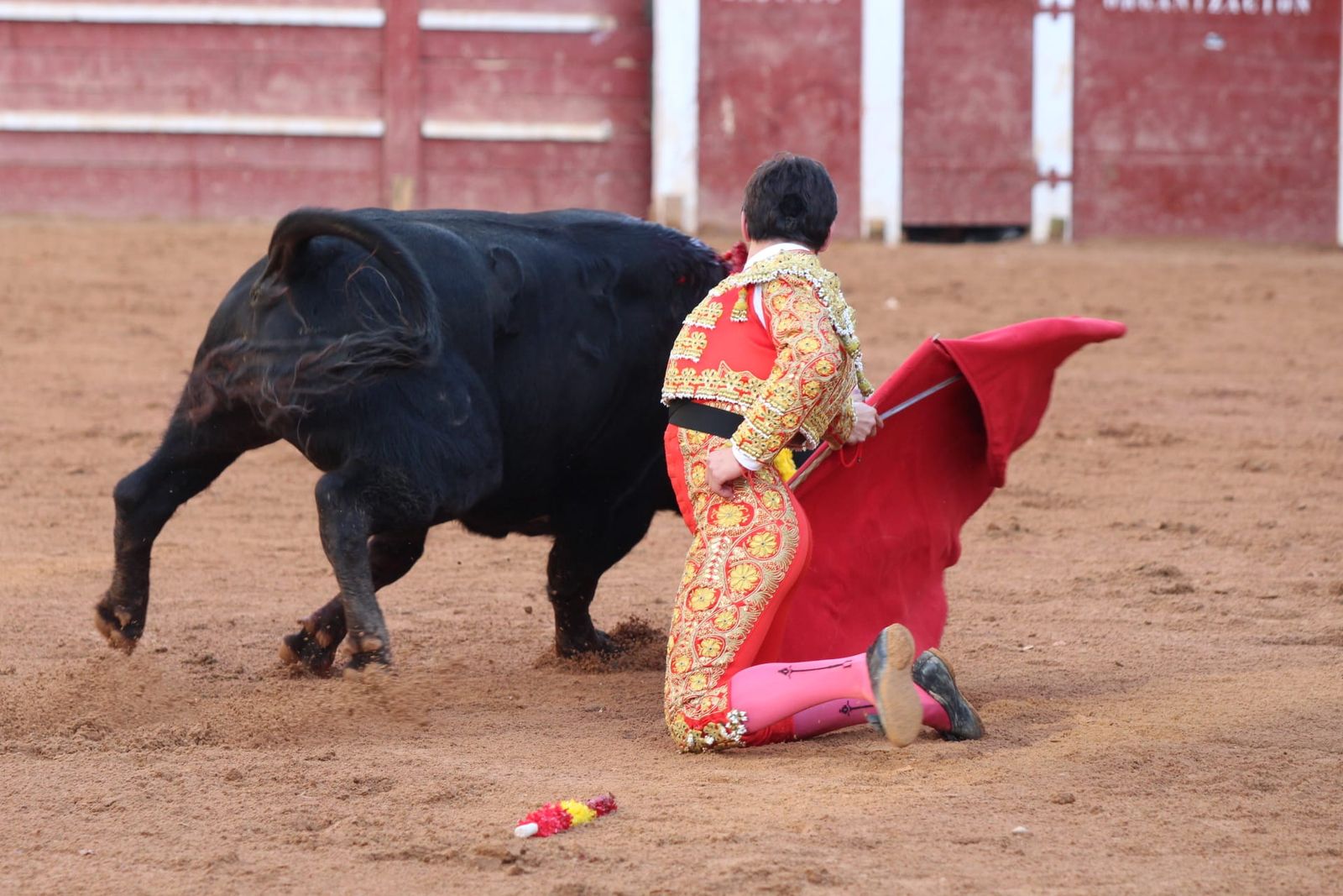novillada-con-picadores-lunes-de-carnaval-en-ciudad-rodrigo-12