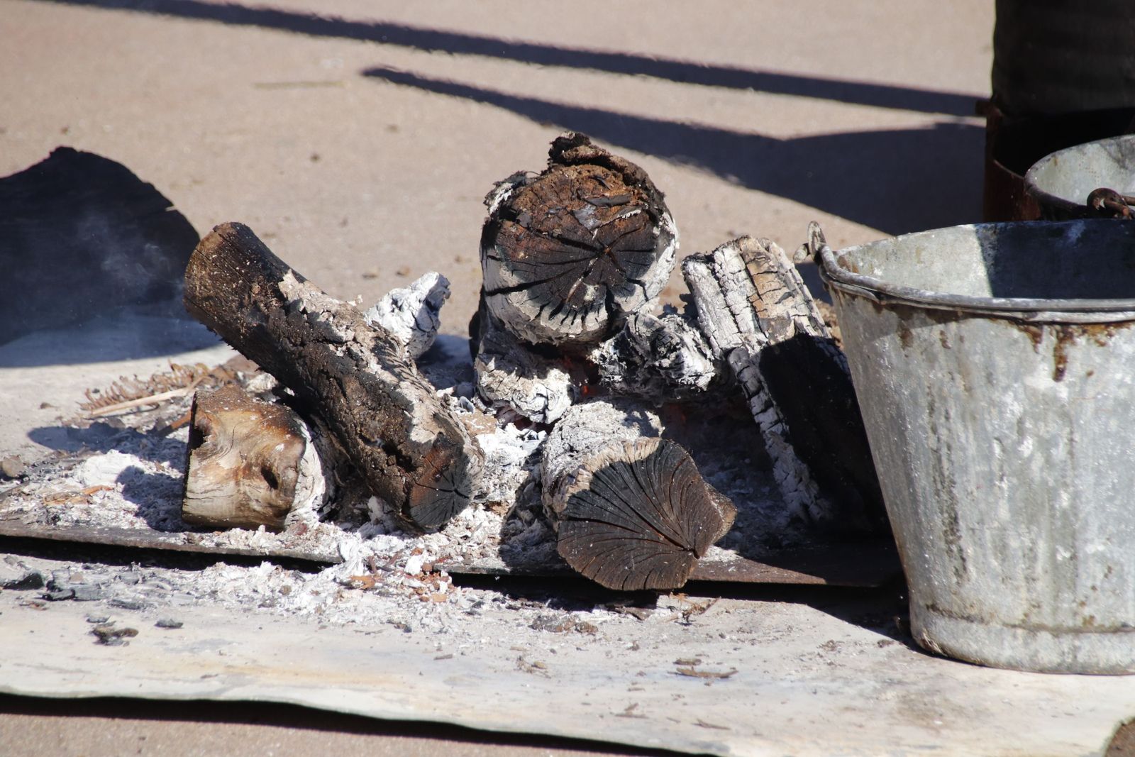 20230204122245-mg-4741