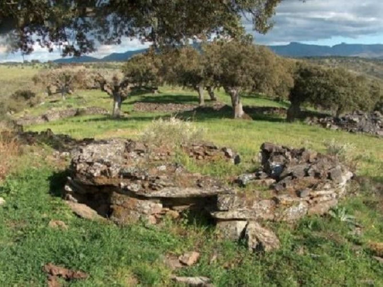El zahorí del castro de Lerilla