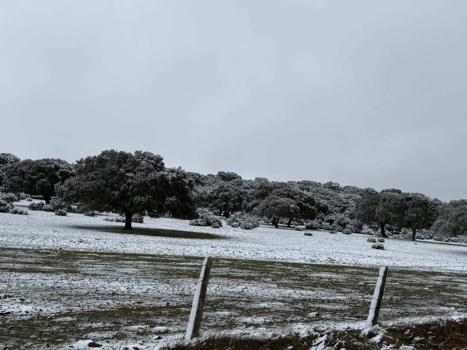 Nieve en Cuatro Calzadas, Pereña y Guijuelo este sábado