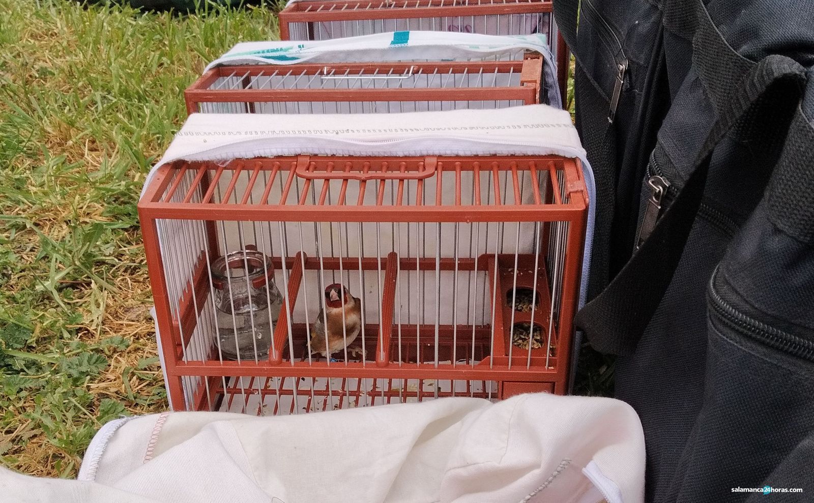 IMG 20200229 102418 BURST1