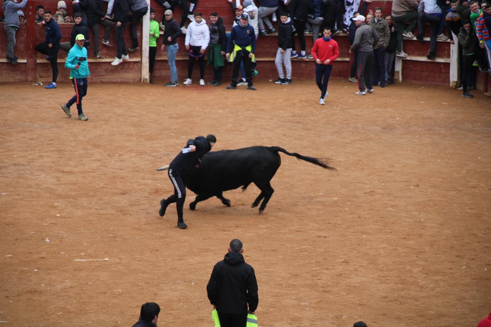 Encierro a Caballo en el Carnaval del Toro 2026 de Ciudad Rodrigo