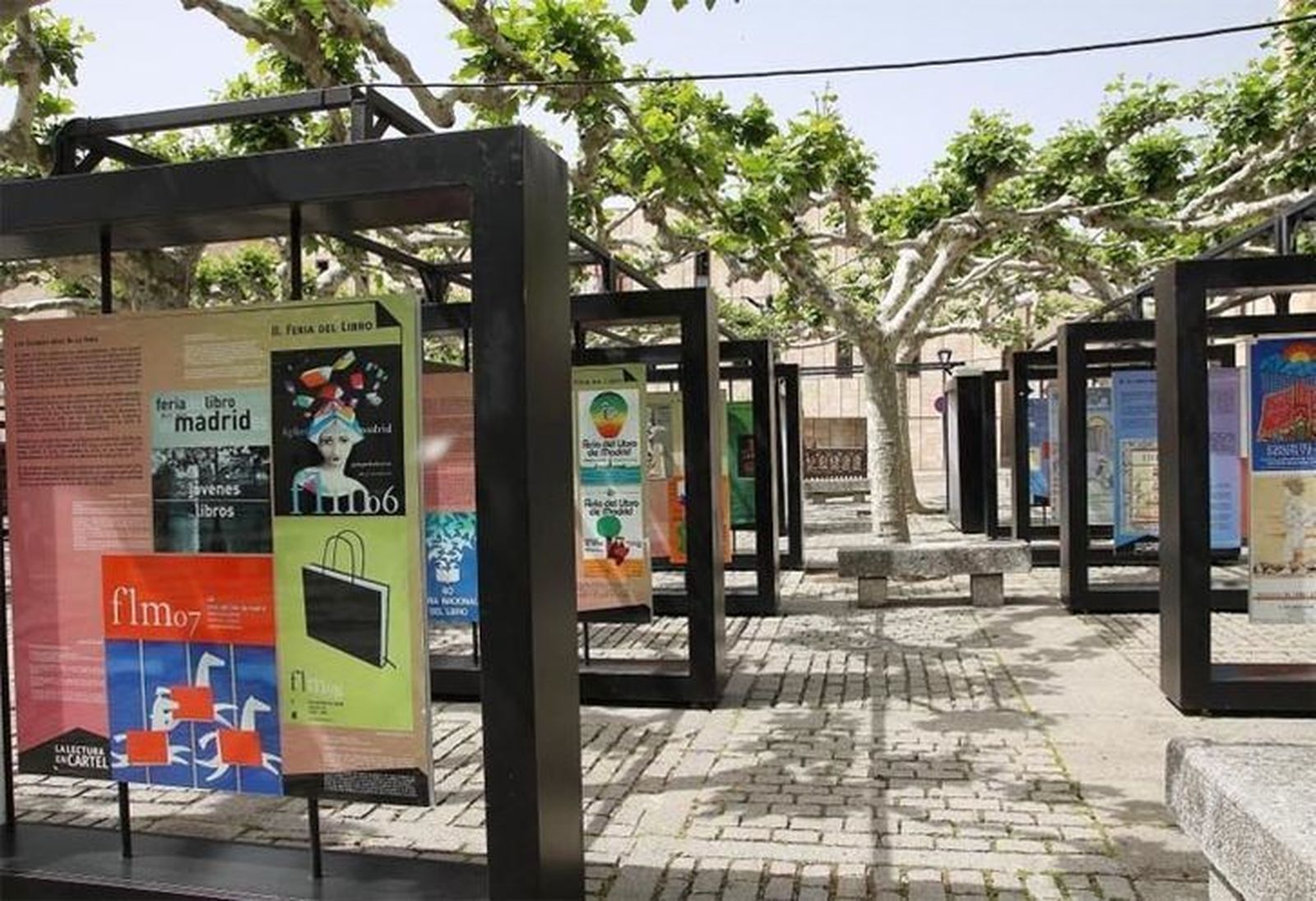 El Ayuntamiento tratará esta madrugada los plátanos del arbolado viario