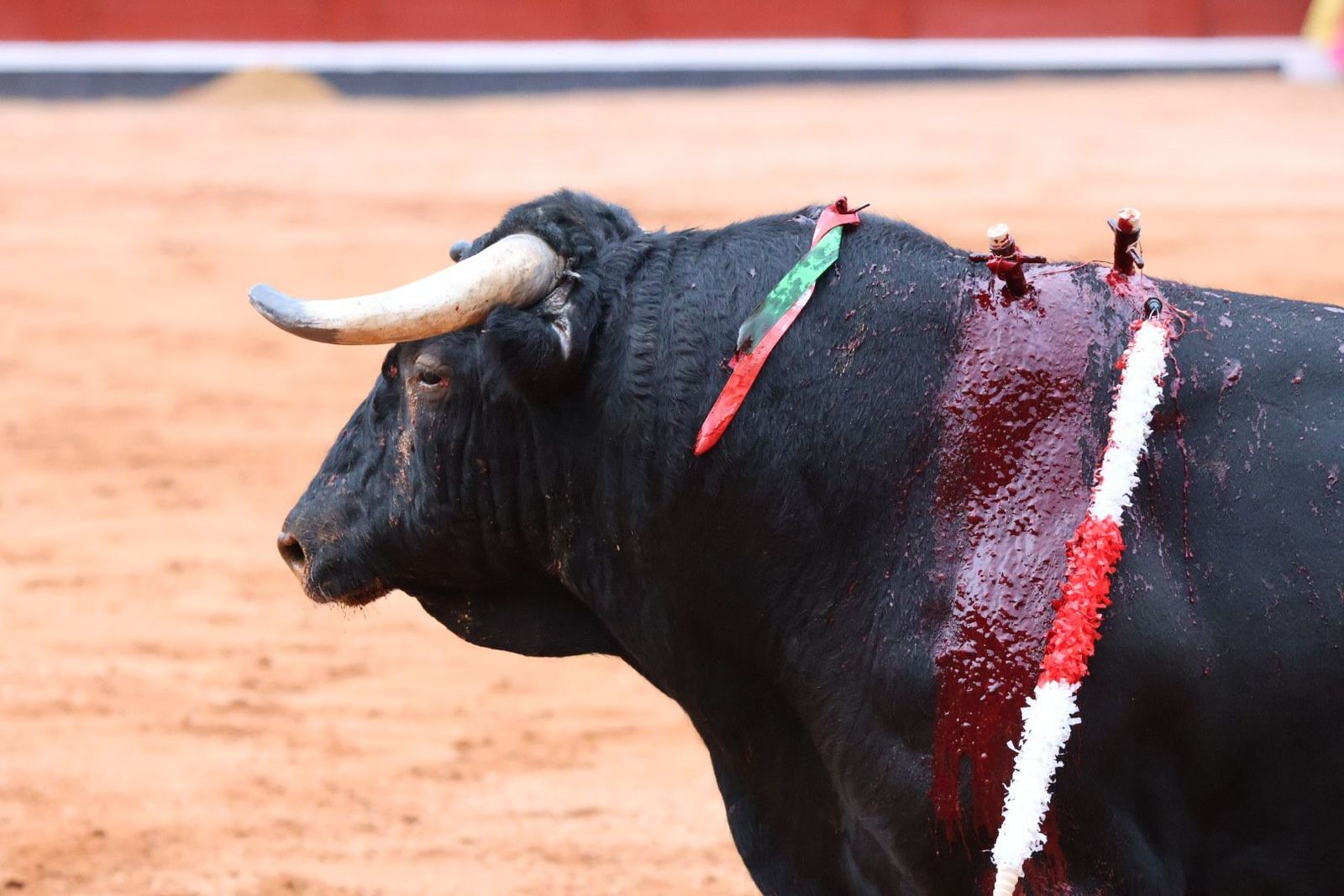 20230909181909-img-0655