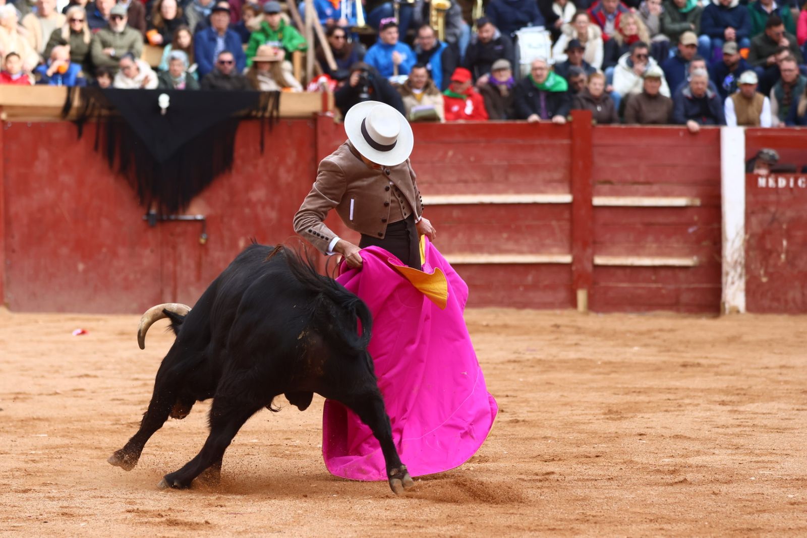 Festival del martes en el Carnaval del Toro 2026