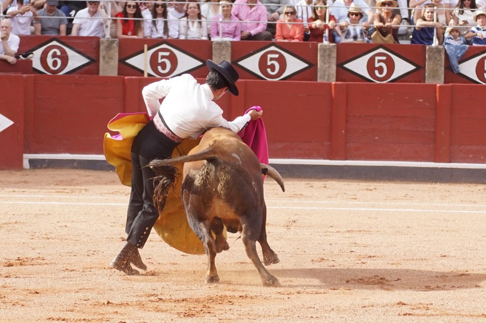 whatsapp-image-2025-06-12-at-21-25-03-5