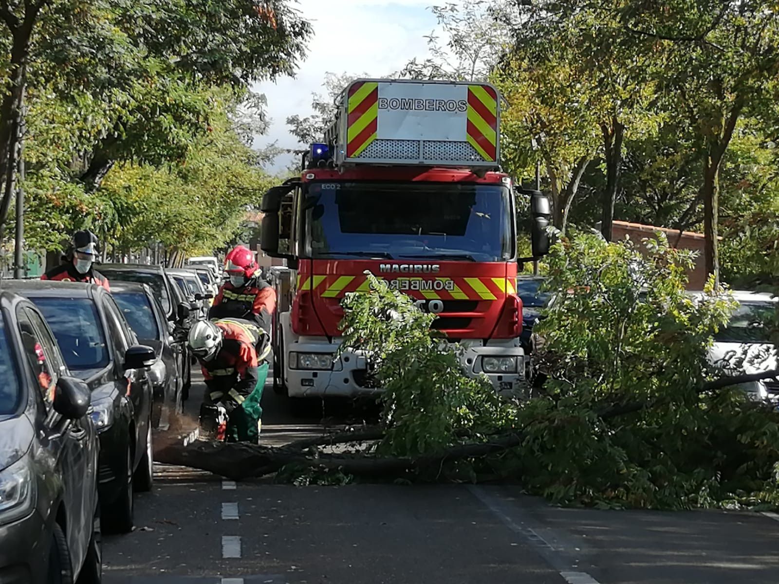 WhatsApp Image 2020 10 02 at 11.16.11