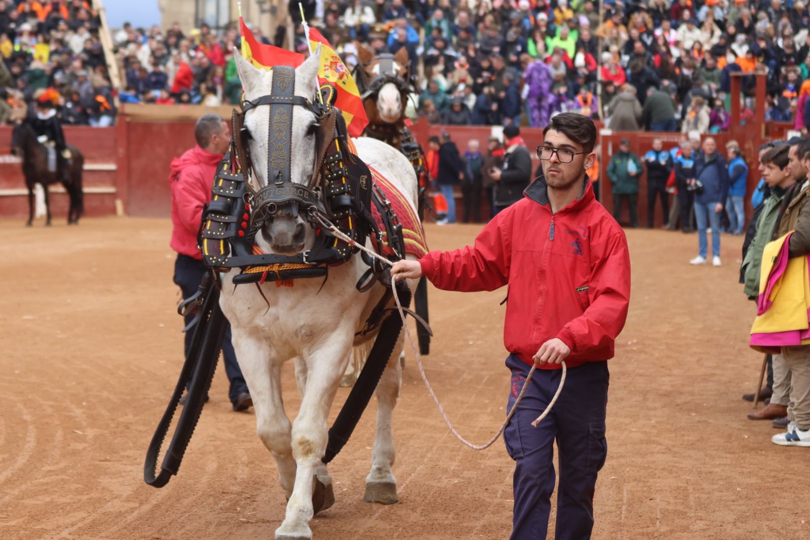 Novillada sin picadores del bolsín taurino y rejones en Ciudad Rodrigo
