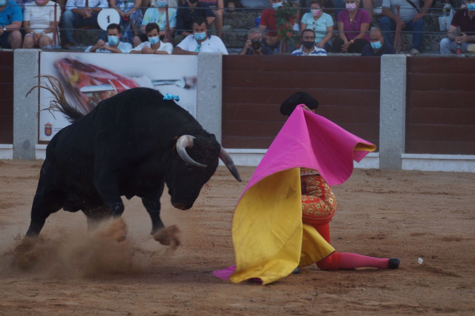 toros-en-guijuelo-15-de-agosto-47