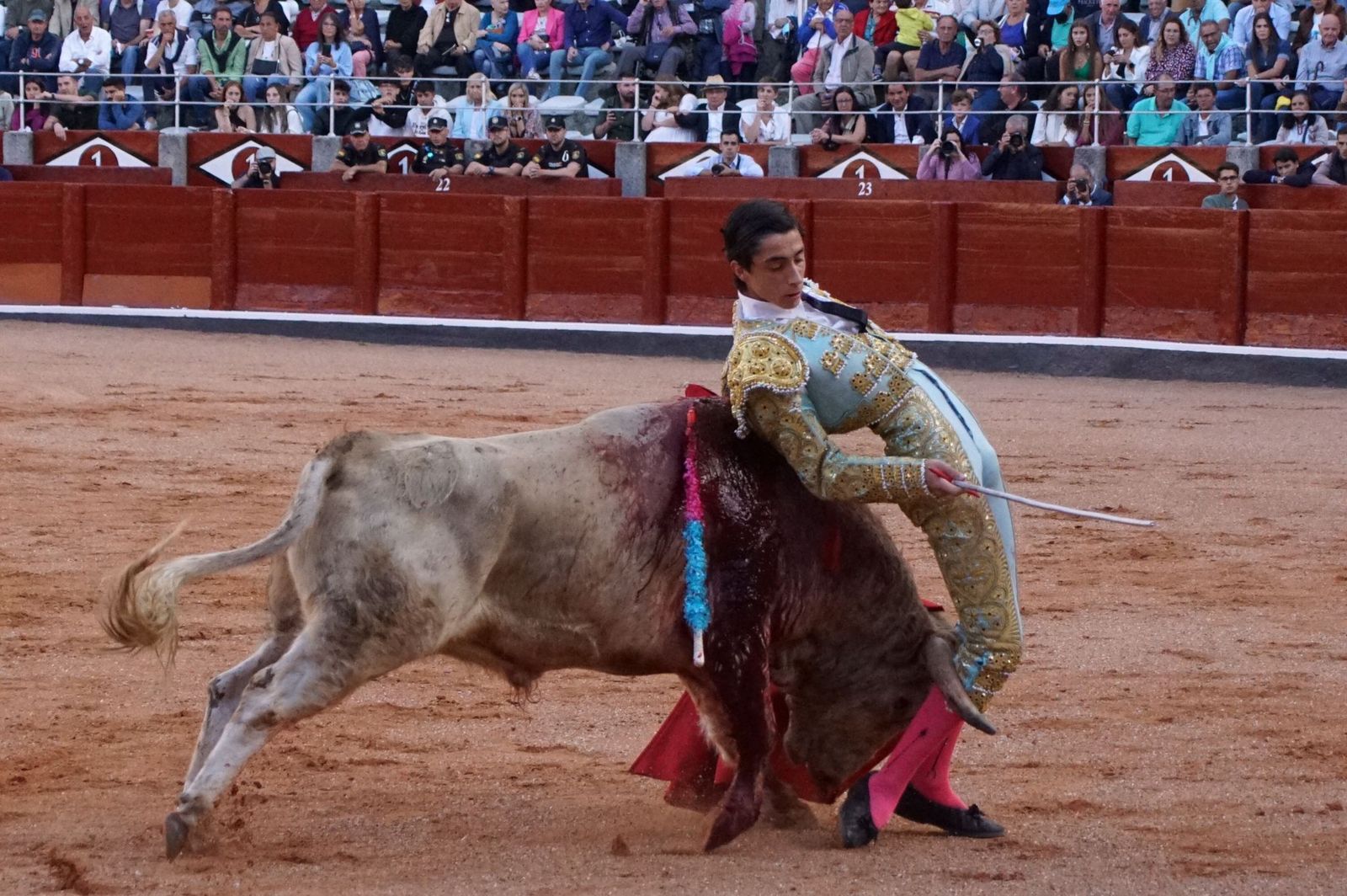 whatsapp-image-2022-09-08-at-9-20-35-pm