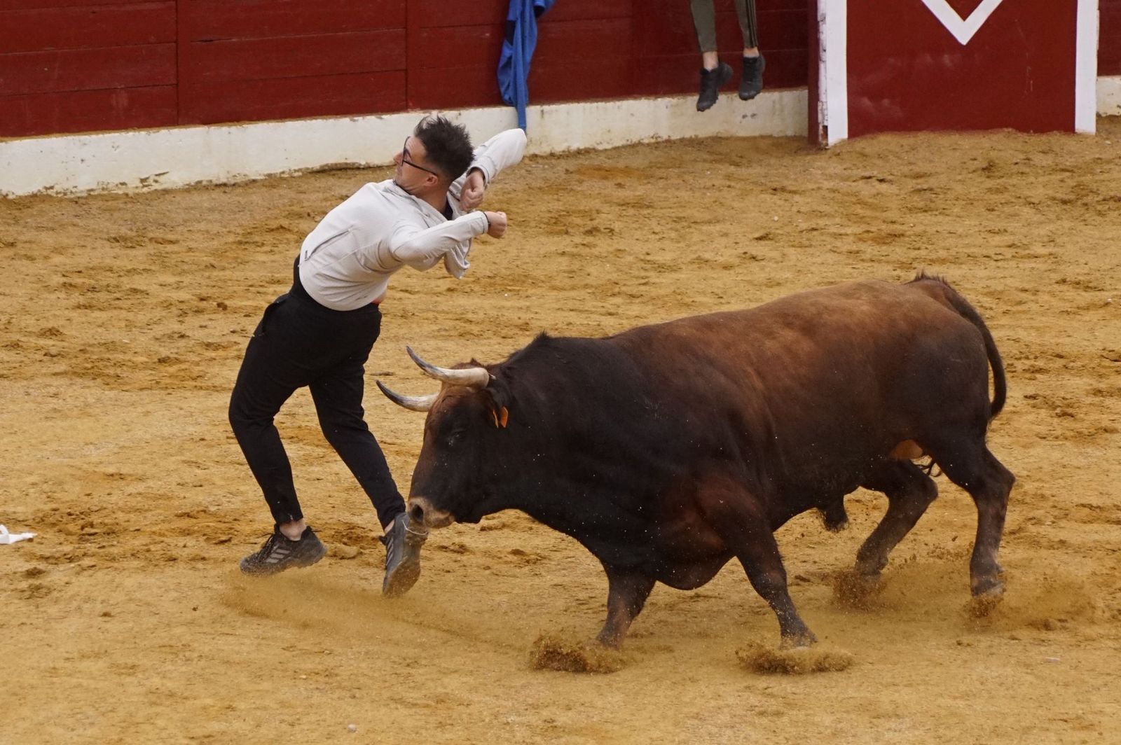 Villoria, toro del Voto