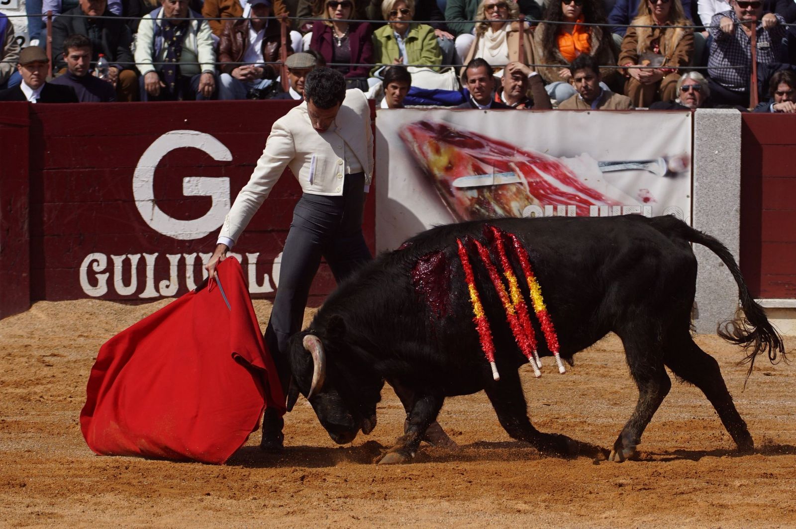 Festival taurino solidario por la esclerosis múltiple en Guijuelo