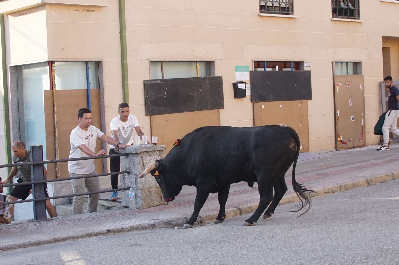 whatsapp-image-2024-08-04-at-21-09-55-1