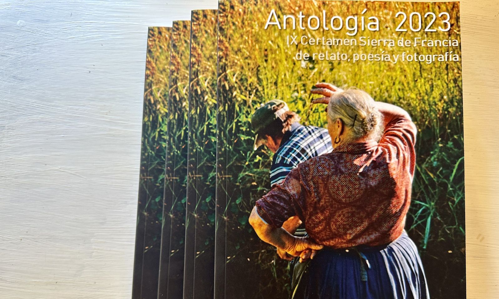 IX Certamen Internacional Sierra de Francia