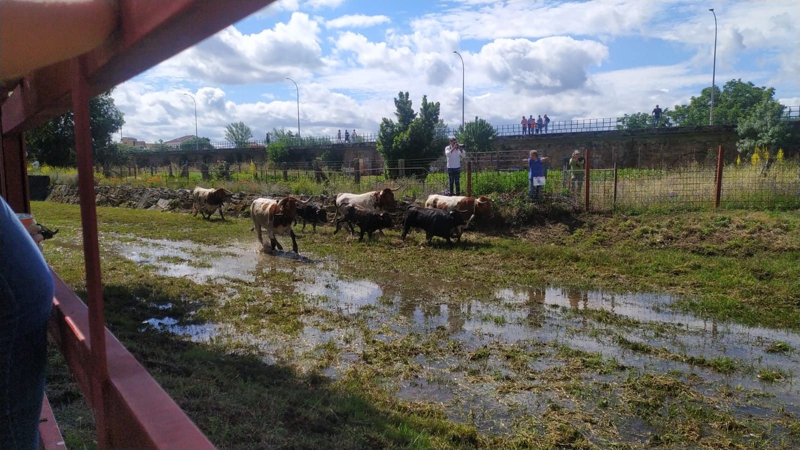 encierro-a-caballo-en-sancti-spiritus-19
