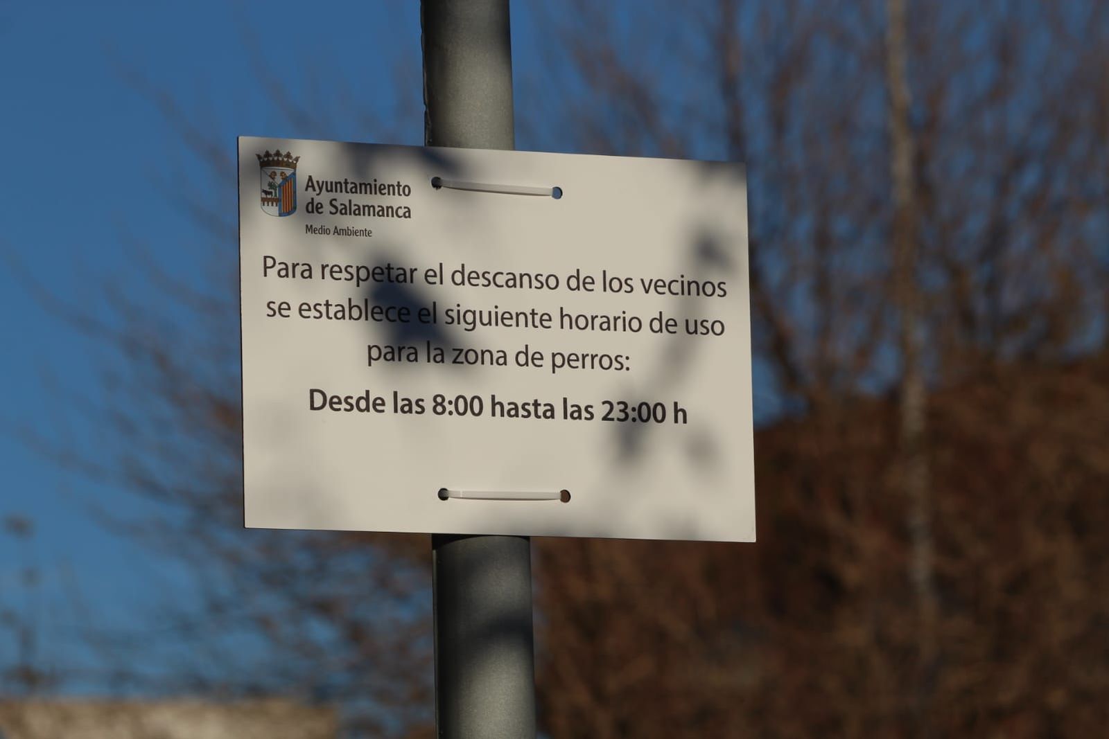 Pipican Príncipe de Vergara