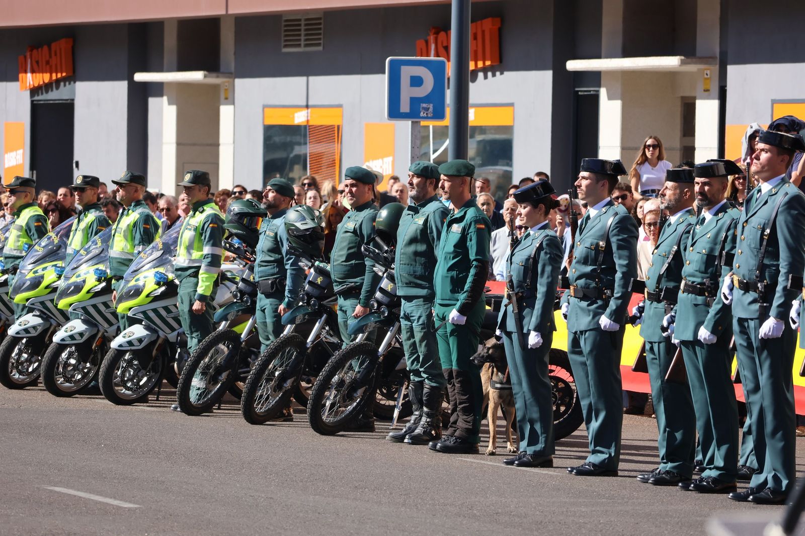 Día del Pilar 2025 en Zamora (57).JPG