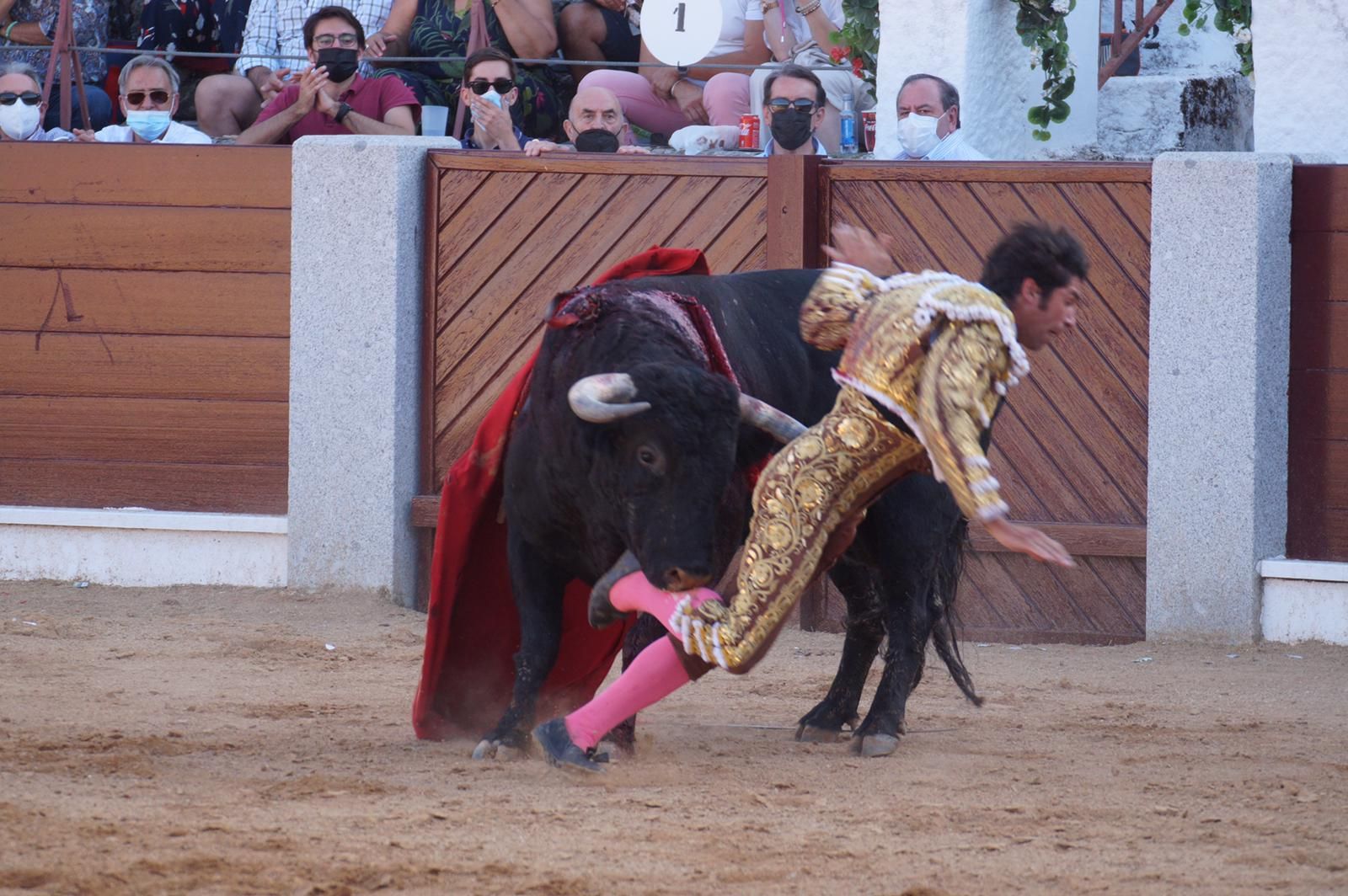 Cayetano, golpeado en la plaza de Guijuelo