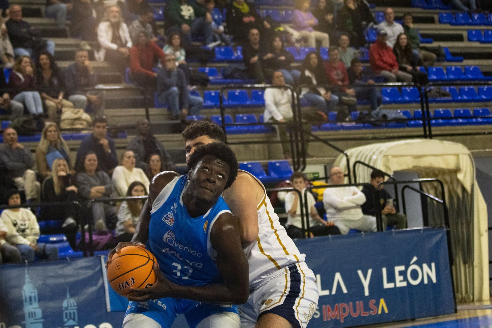 Perfumerías Avenida – Reino de León