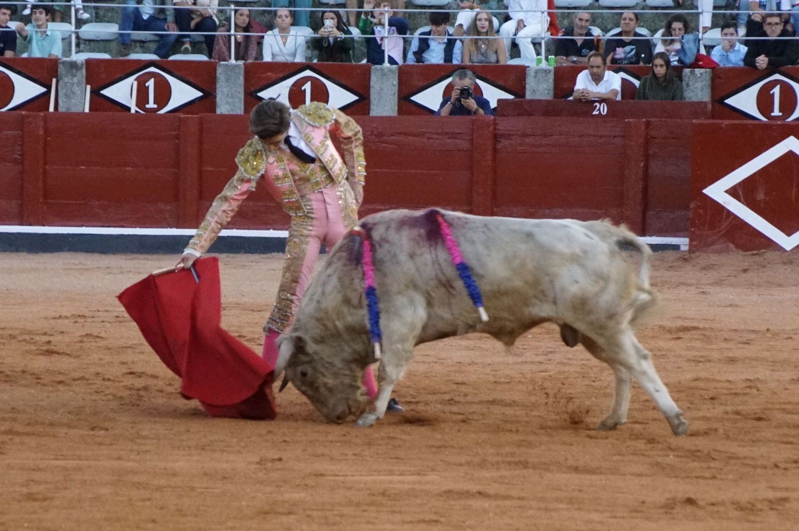 whatsapp-image-2022-09-08-at-9-22-03-pm-2