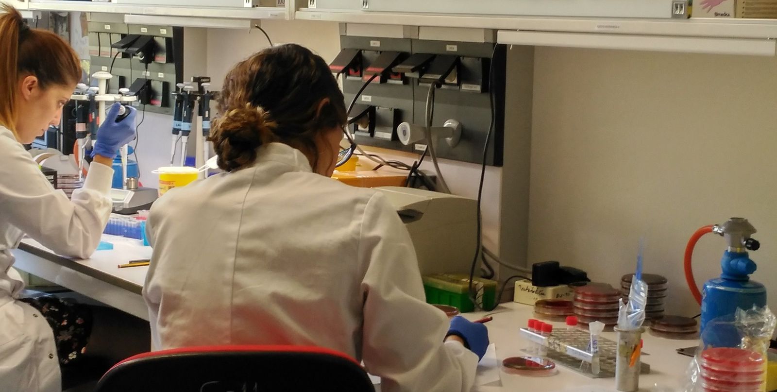 InvestigacionISCIIIa