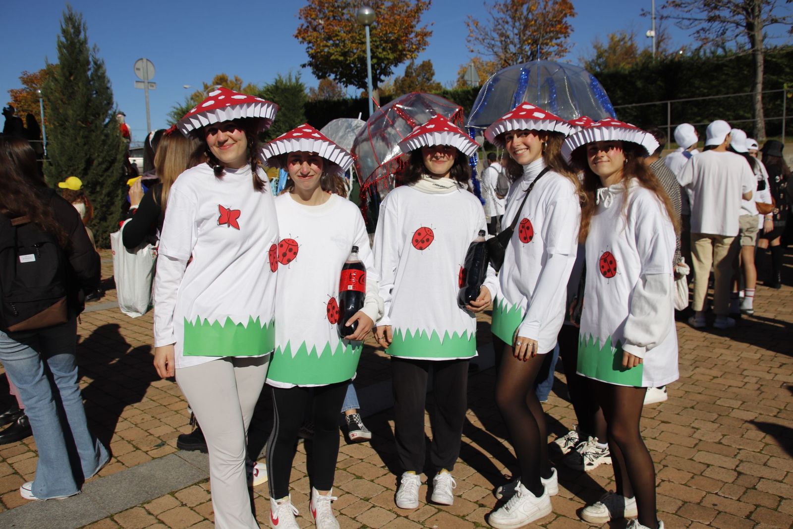 20221110120146-mg-0990