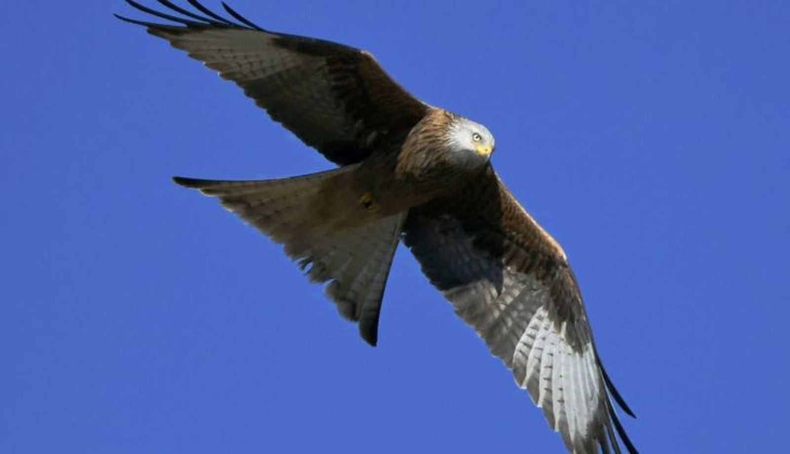 Imagen de WhatsApp 2025 04 02 a las 17.37.29 a41e618b