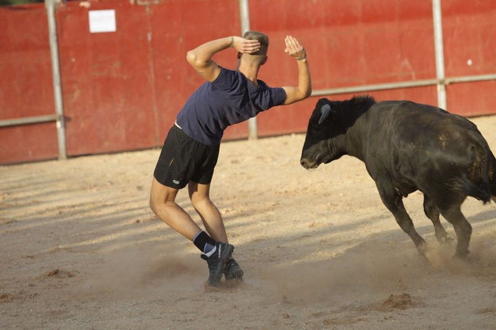 Las vaquillas ponen a prueba a los valientes en Carbajosa