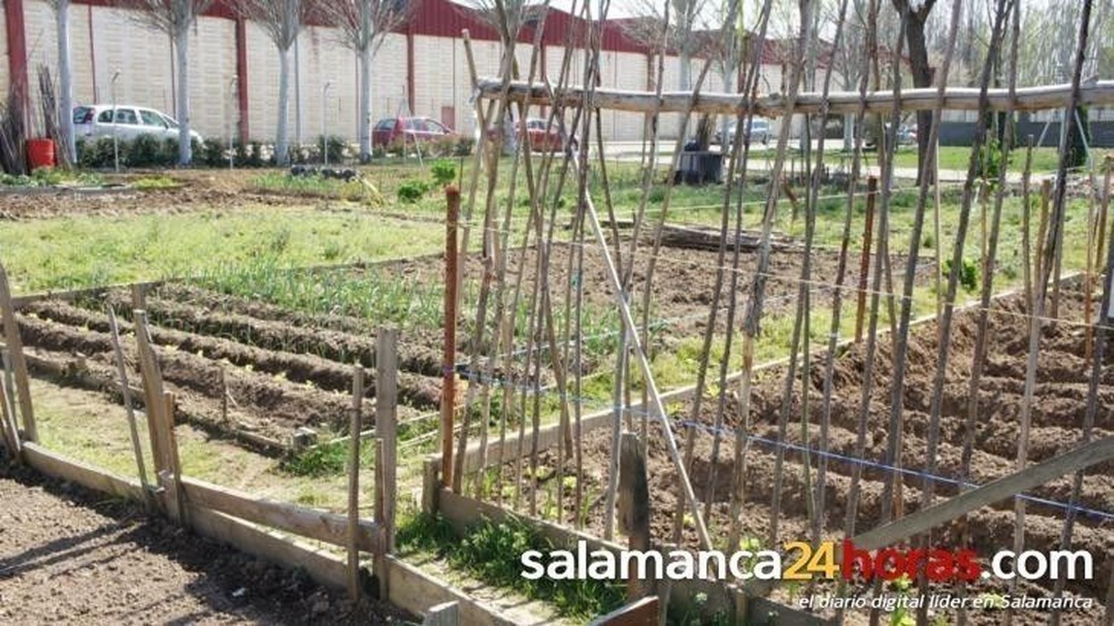 El Ayuntamiento sortea los huertos familiares