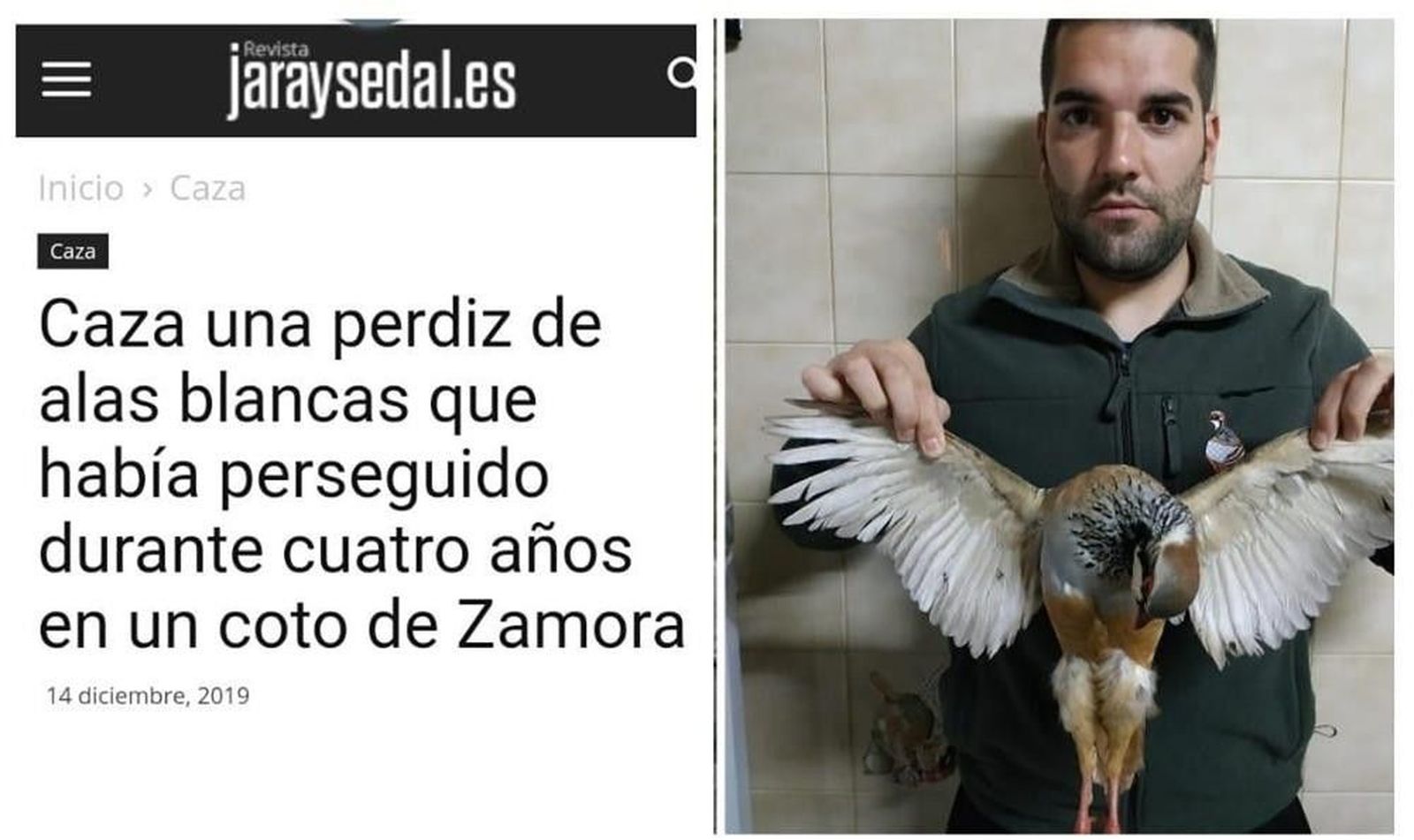 WhatsApp Image 2019 12 21 at 23.21.42 (Copy)