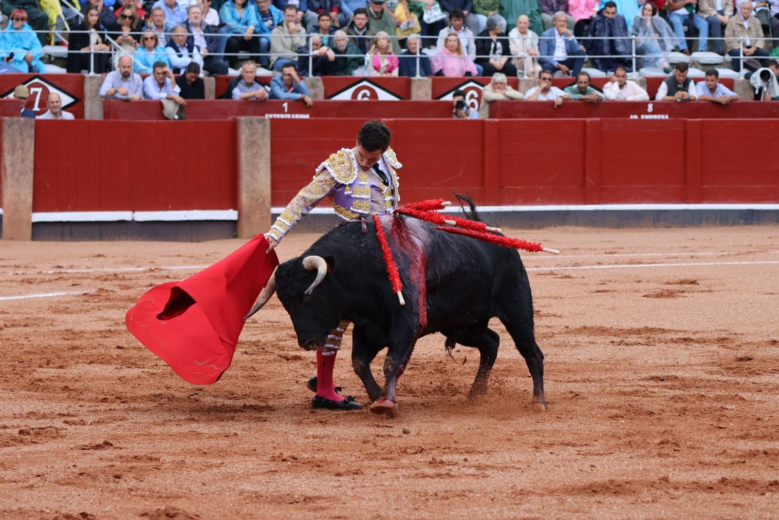 20230915171920-img-3891