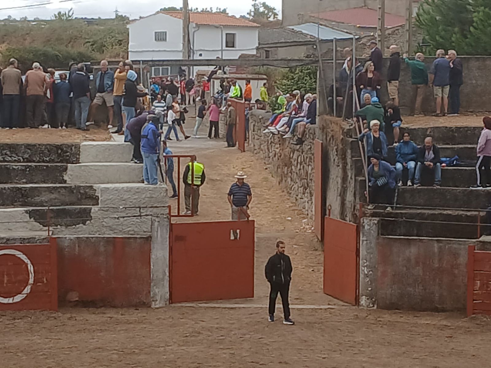 Segundo encierro con novillos de Valdeflores en Pereña de la Ribera