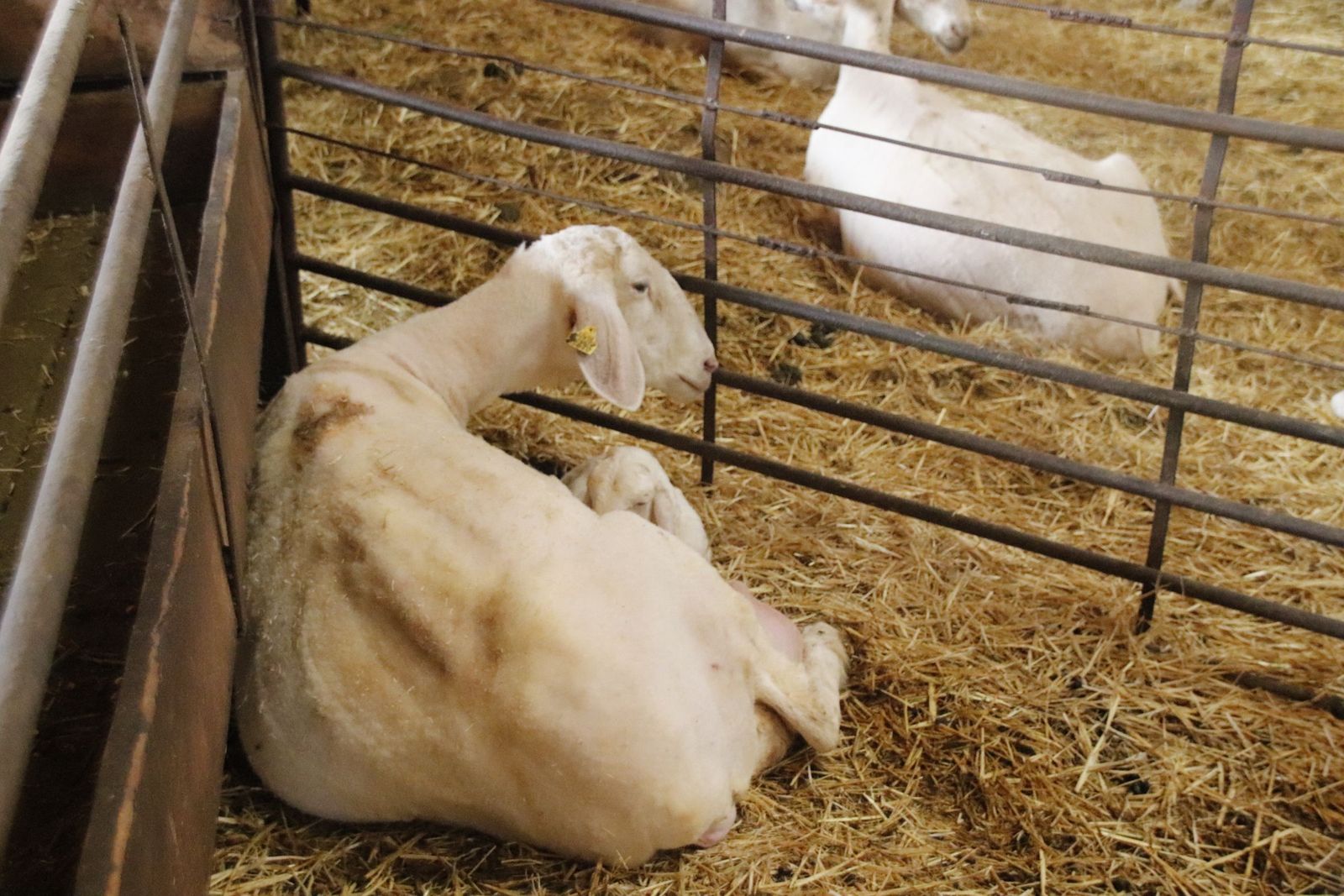 20220520101951-mg-8437