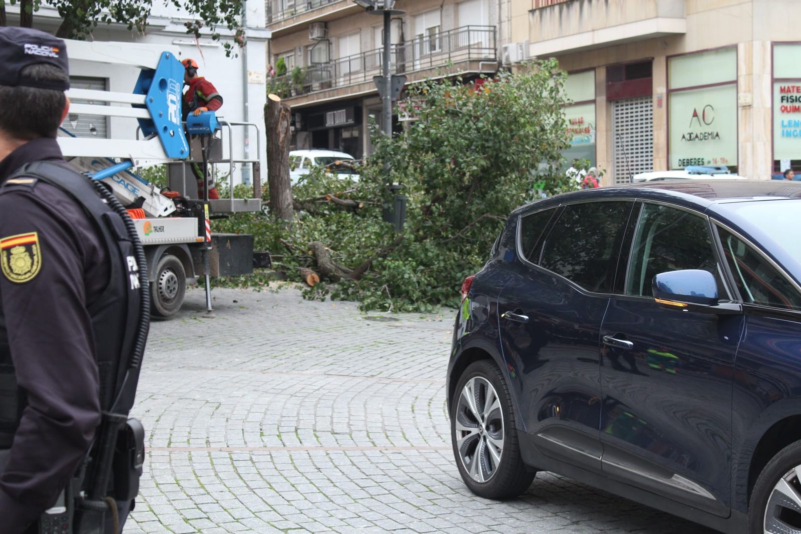 whatsapp-image-2024-10-22-at-09-55-29