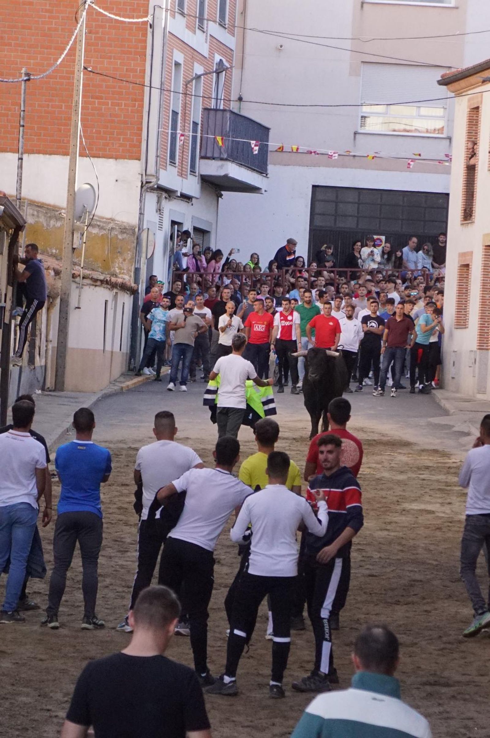 Toro del cajón y capea en Alba de Tormes