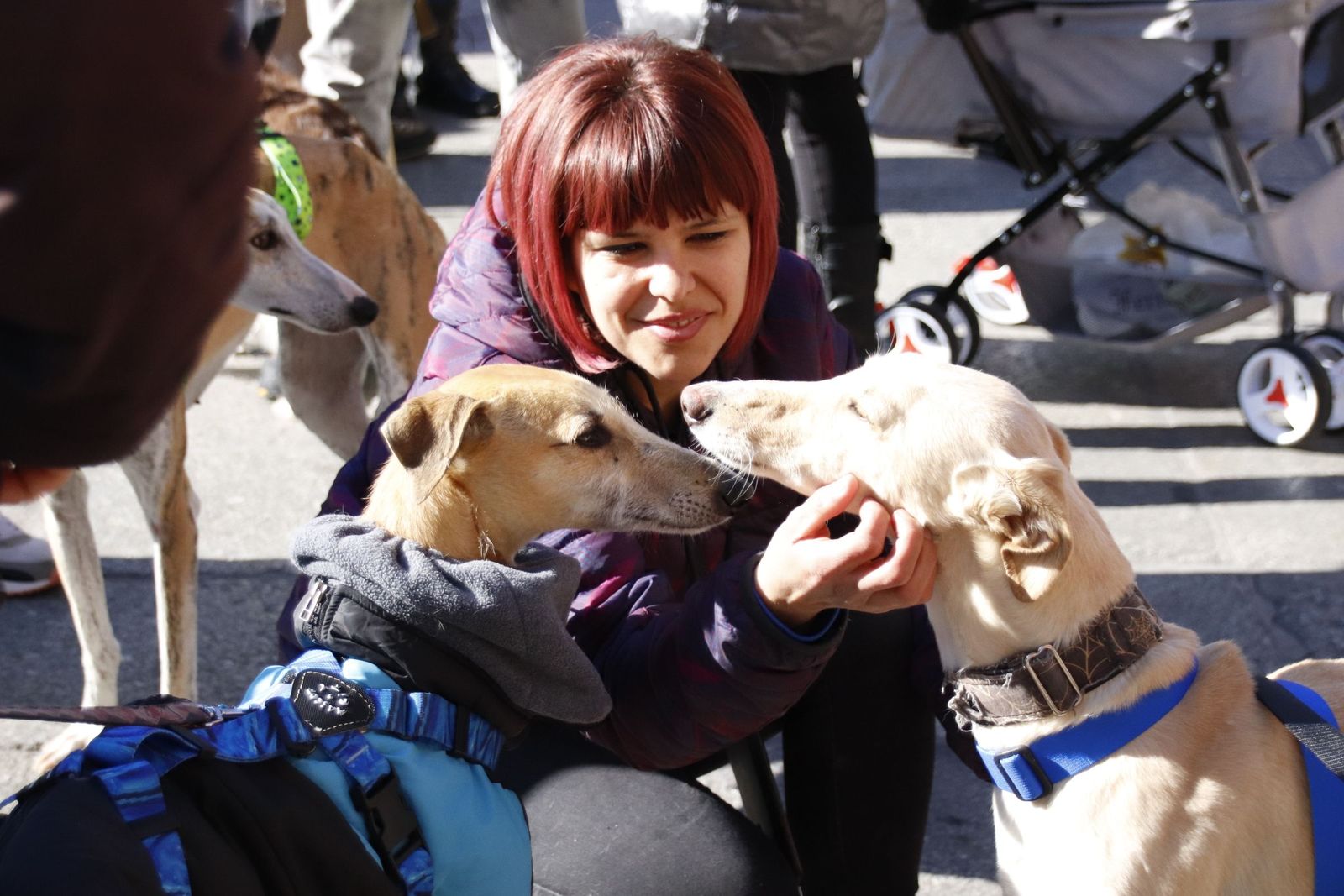 20230205120940-mg-5674