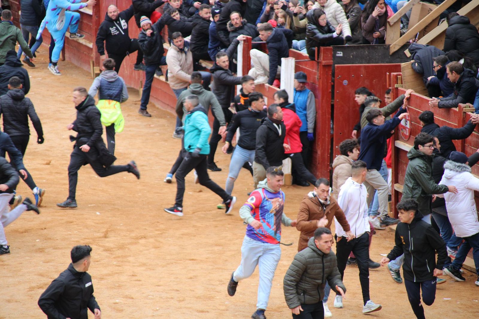 whatsapp-image-2025-03-01-at-13-18-37-4