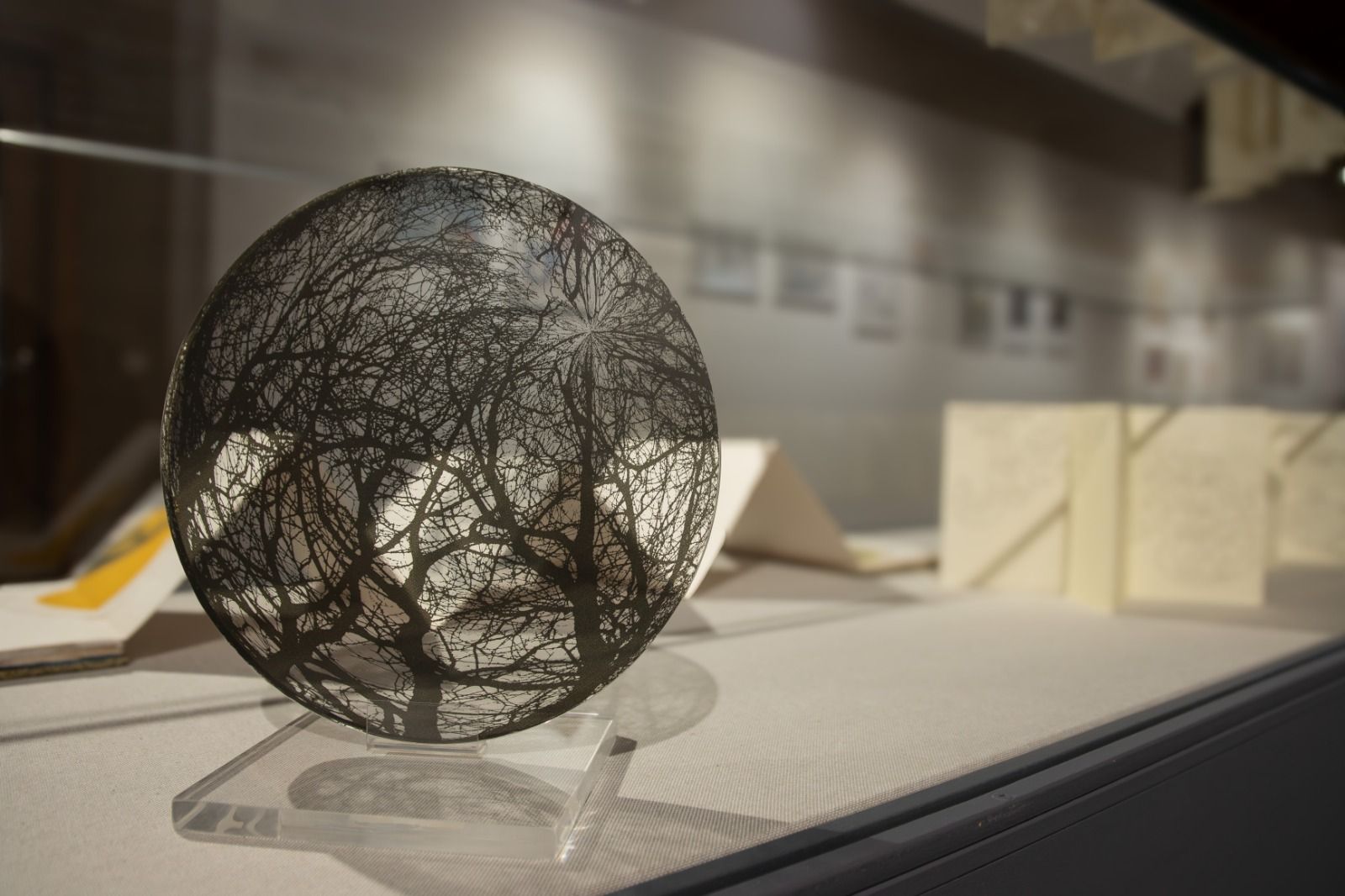 El Centro Cultural Hispano Japonés de la USAL inaugura la exposición “Haikugráfica: Instantes de la naturaleza”