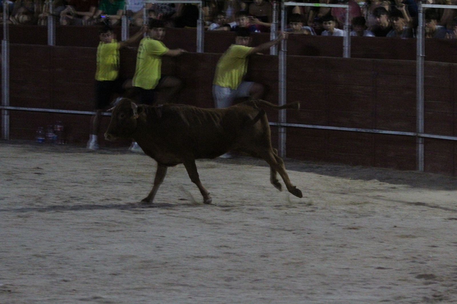 Así se ha vivido el Grand Prix de Carbajosa de la Sagrada y la posterior vaquilla