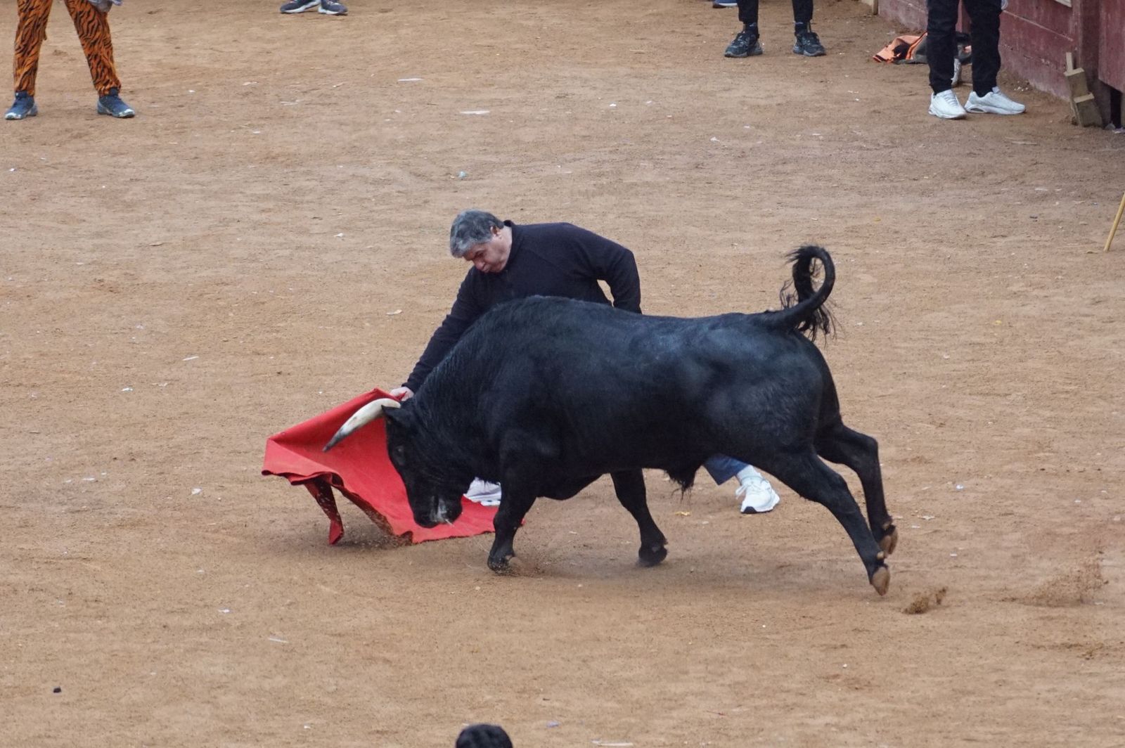 Capea matinal de domingo de carnaval en Ciudad Rodrigo (53).jpeg