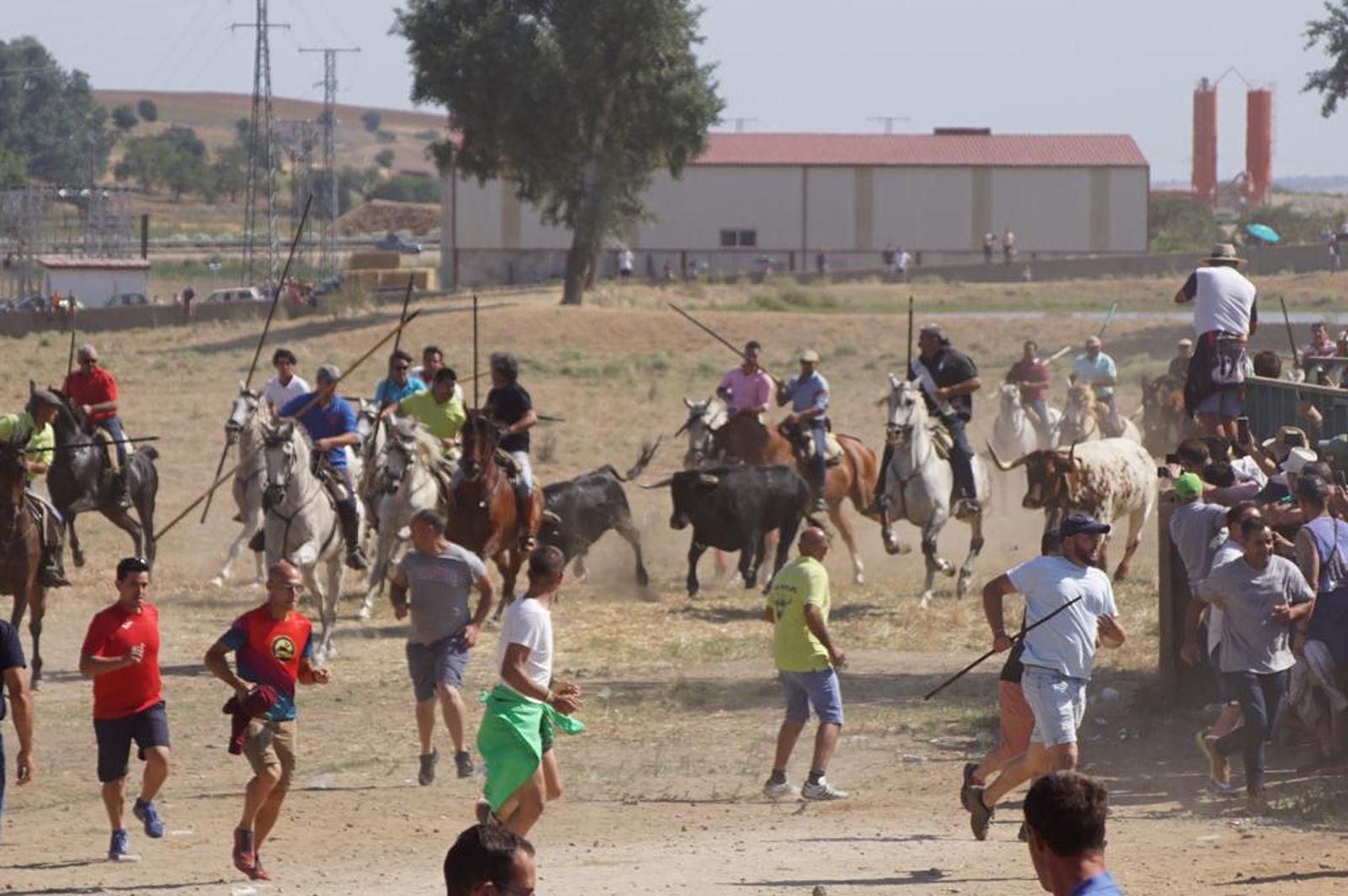espantes-de-fuentesauco-43