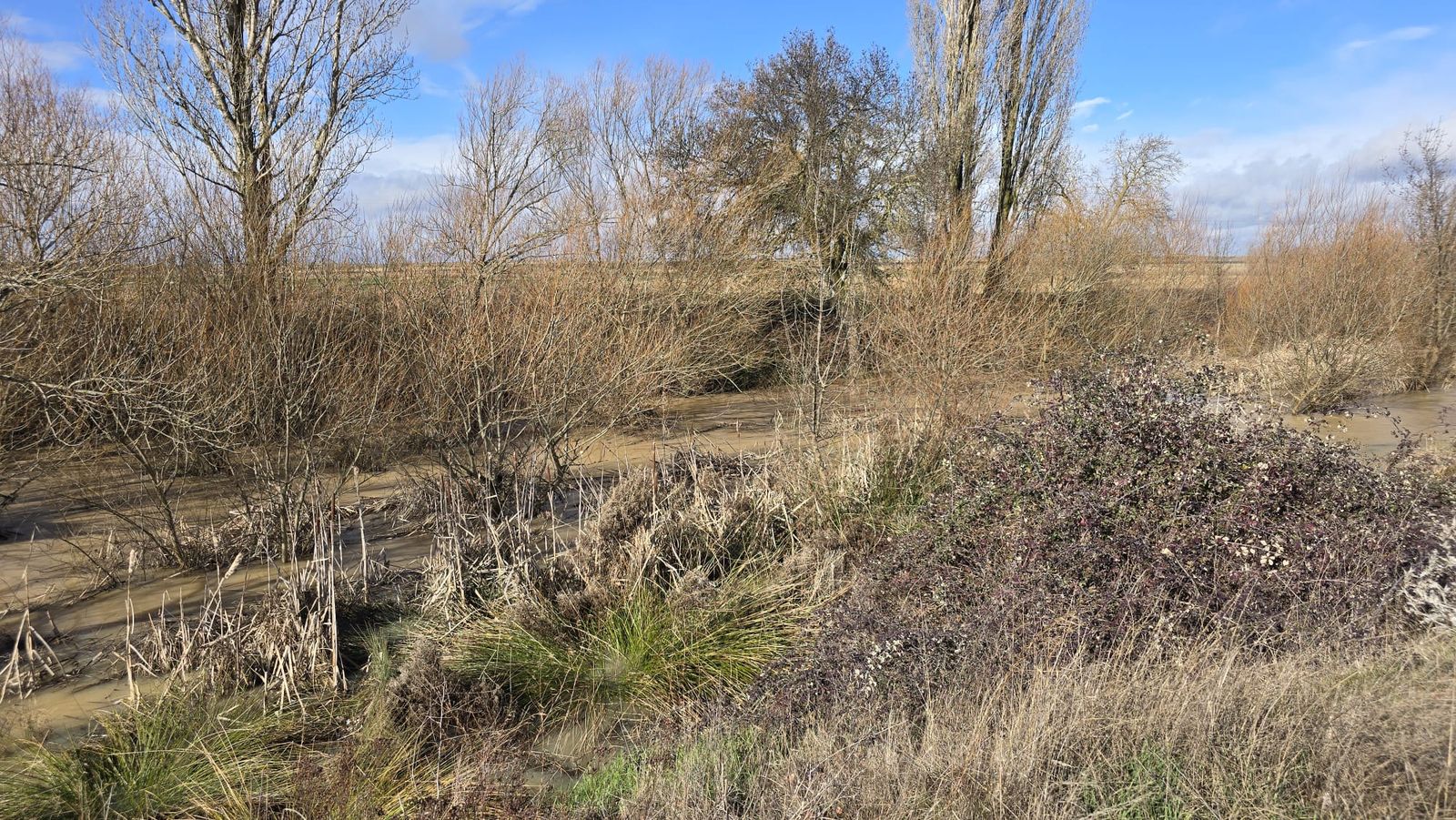 Rio Almar en Alconada (2)