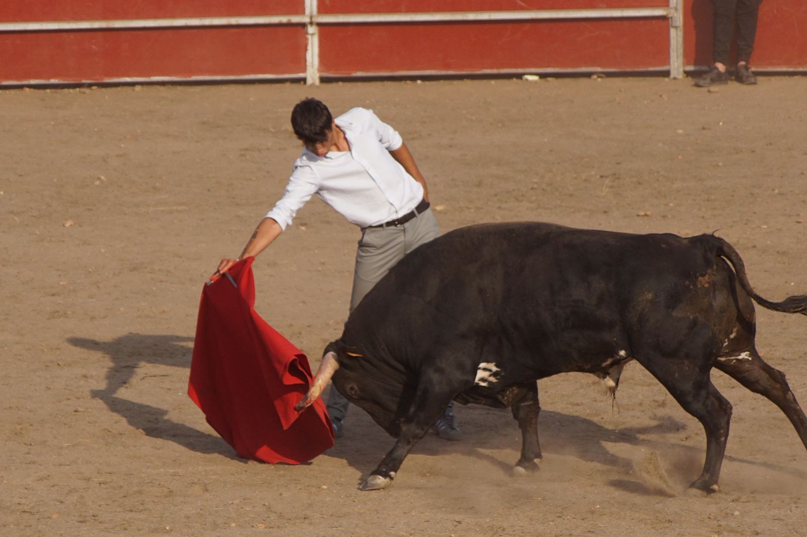 Carreras, risas y tradición: así se ha vivido El Toro en Santa Marta