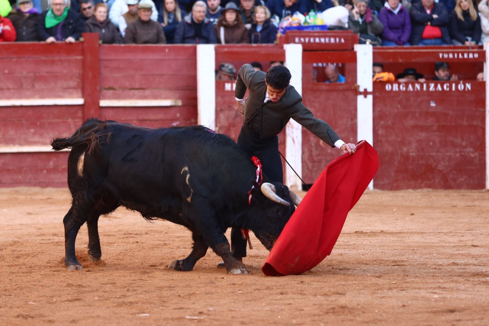 Festival del martes en el Carnaval del Toro 2026