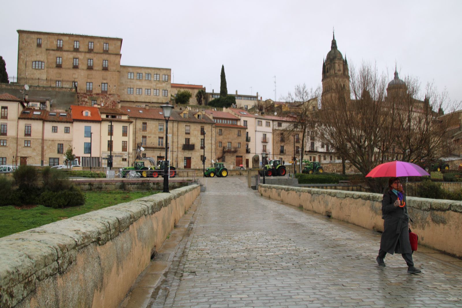 En imágenes la marcha con tractores y vehículos de campo en Salamanca en protesta contra Mercosur