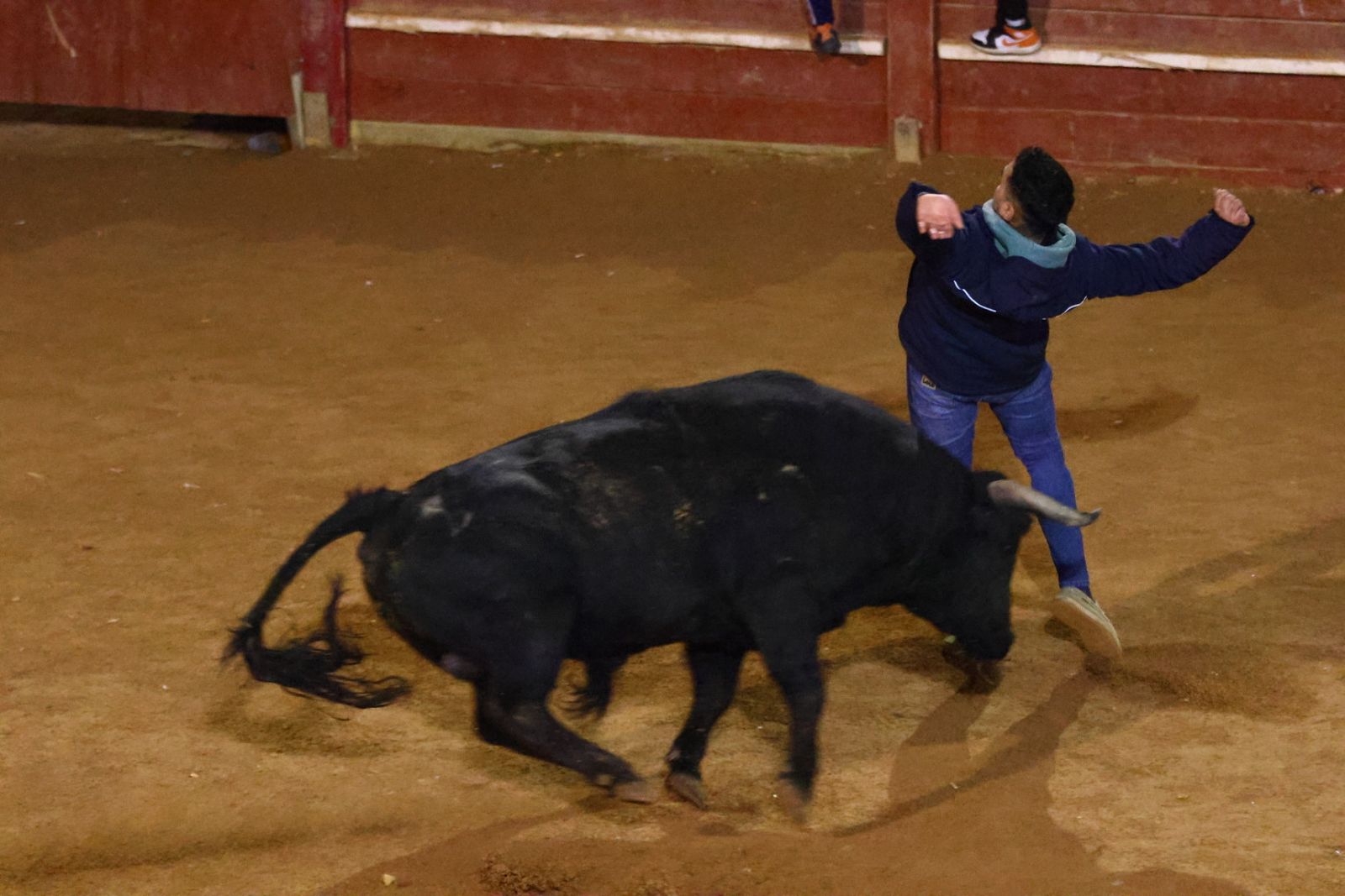 Capea nocturna de lunes en el Carnaval del Toro 2026